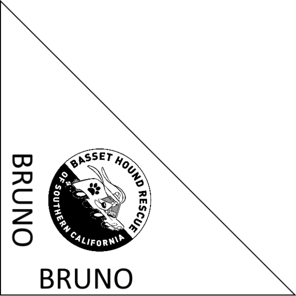 Download bandana mockup - www.bassethoundrescue.org