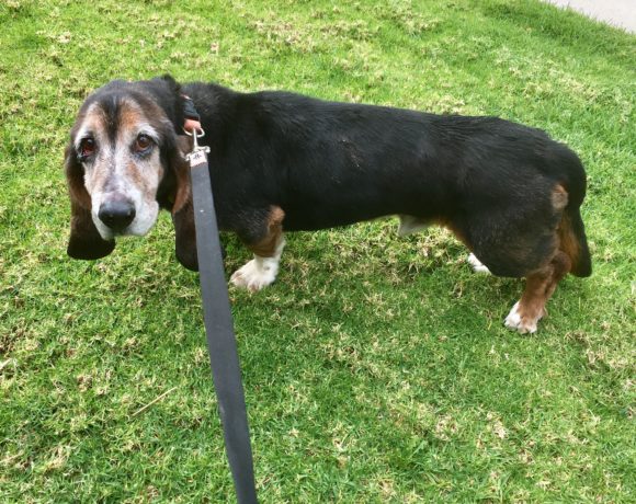 Roscoe