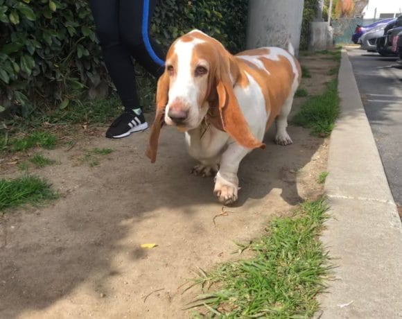 Copper