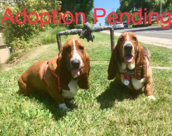 Mollie and Maggie