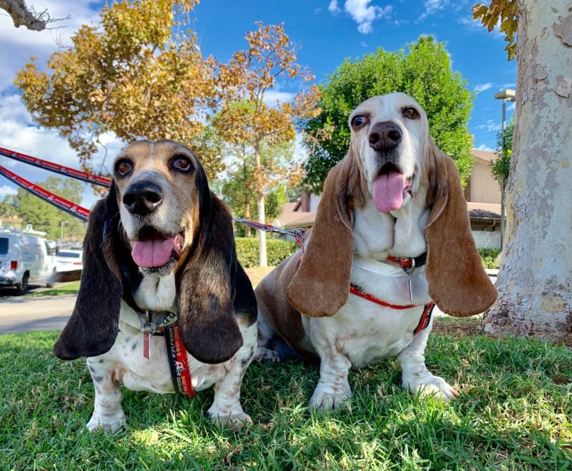 Caddy and Mandy