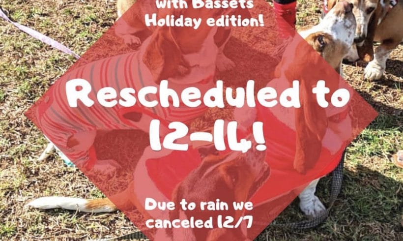 Holiday Brunch with Bassets & Adoption Reunion rescheduled!