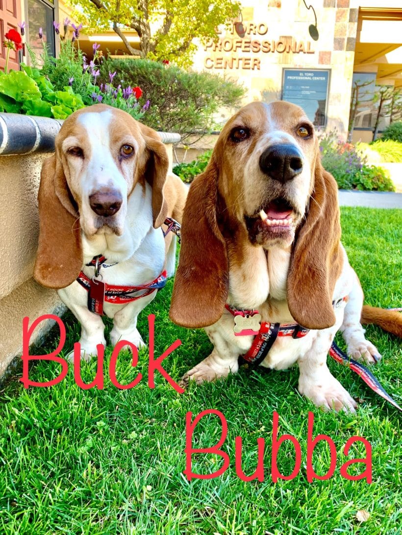 Buck and Bubba