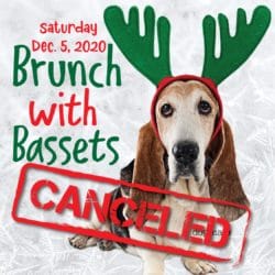 Holiday BWB Cancelled