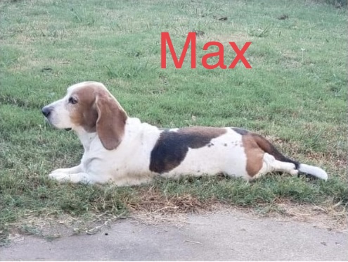 Max