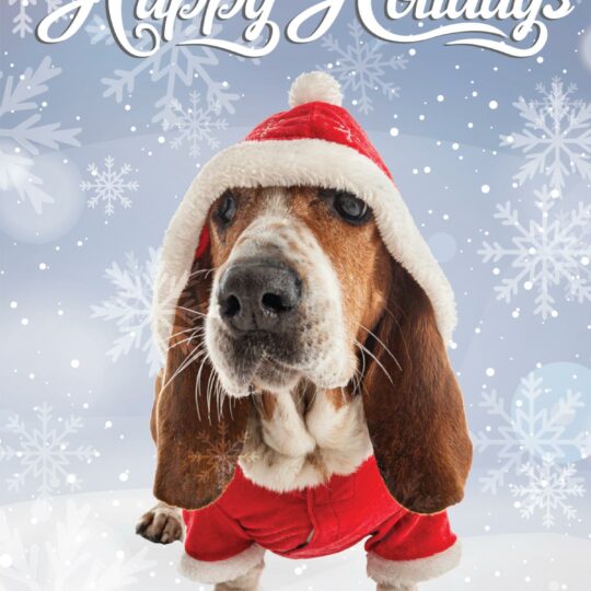 holiday cards front image
