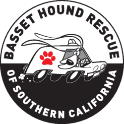 www.bassethoundrescue.org