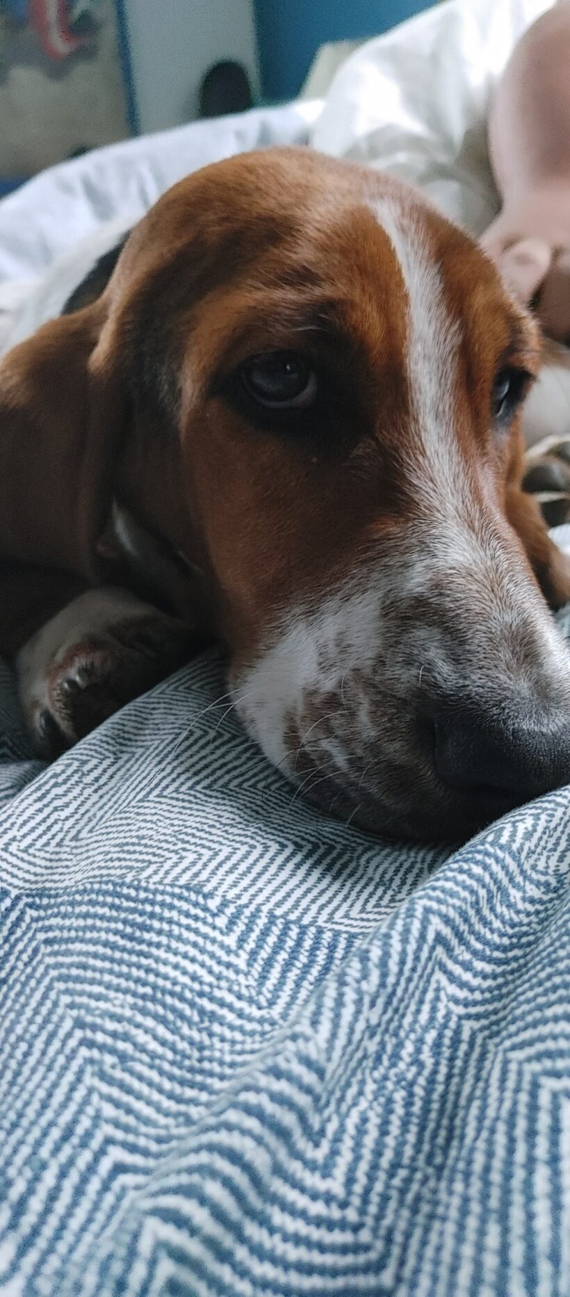 Gigabyte (now Eleanor Rigby)