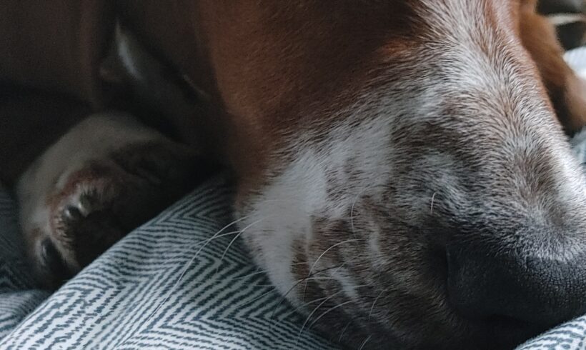 Gigabyte (now Eleanor Rigby)