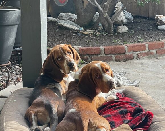 Ronnie and Charlie (now Chief and Captain)