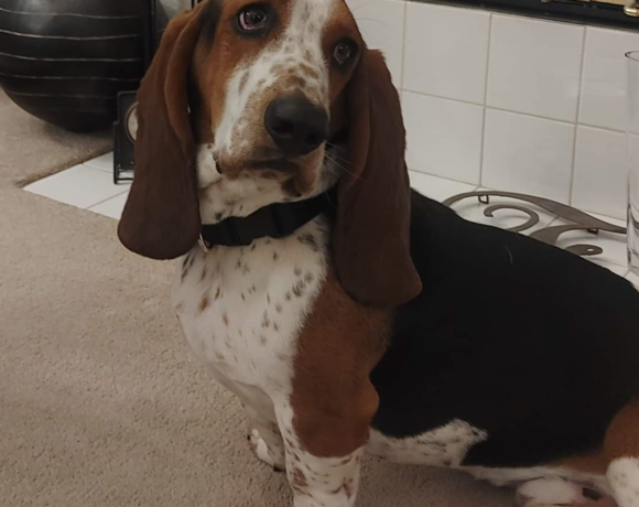 Max