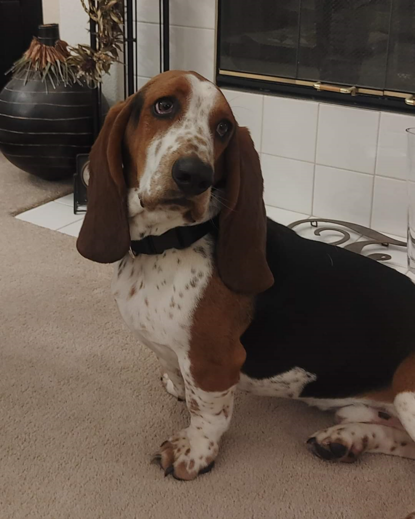 Max