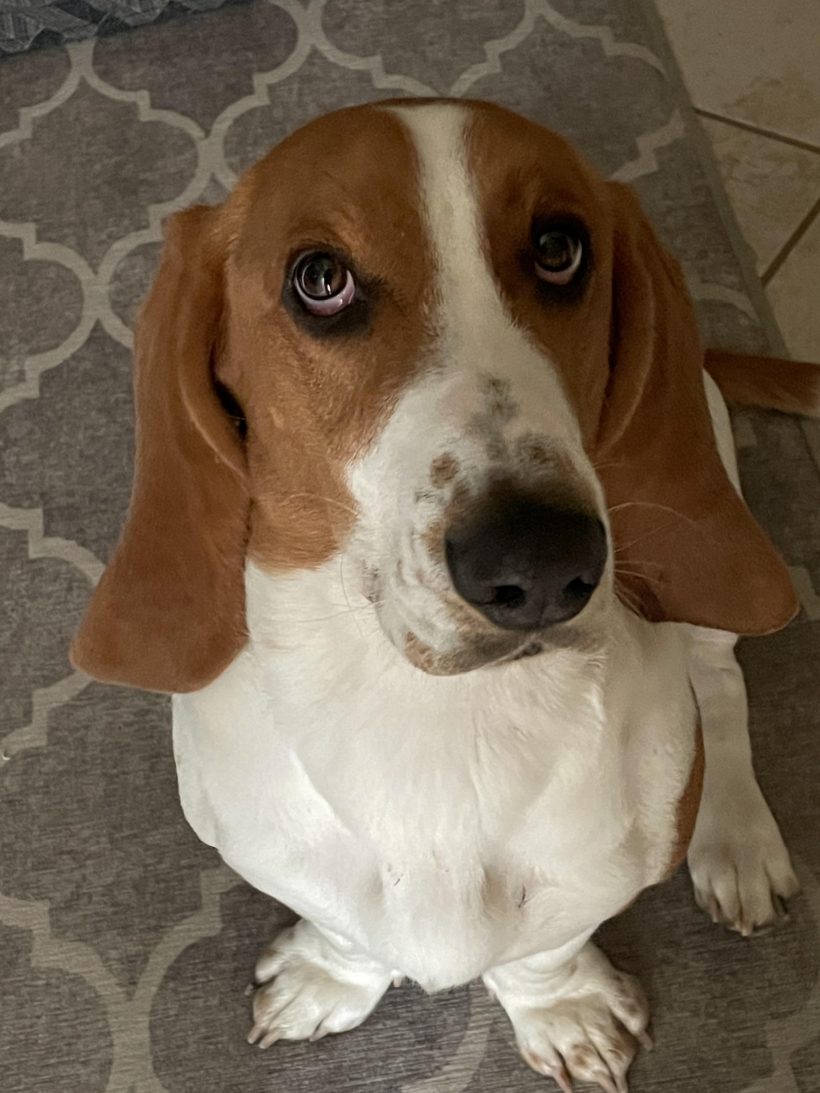 Winston (now Bruno)