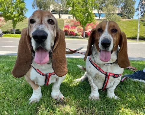 Gus and Roscoe