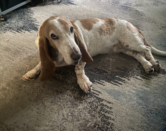 Marley