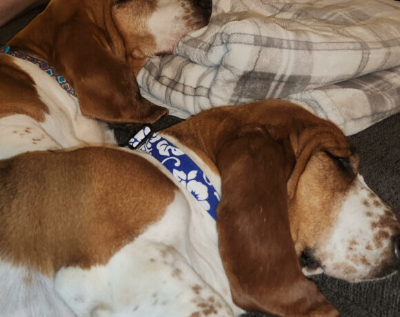Ruby and LeRoy