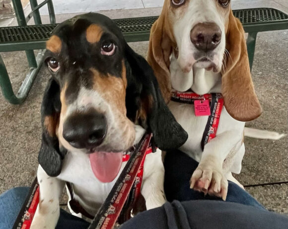 Max and Nicky