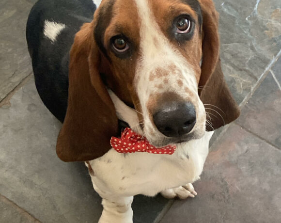Winston