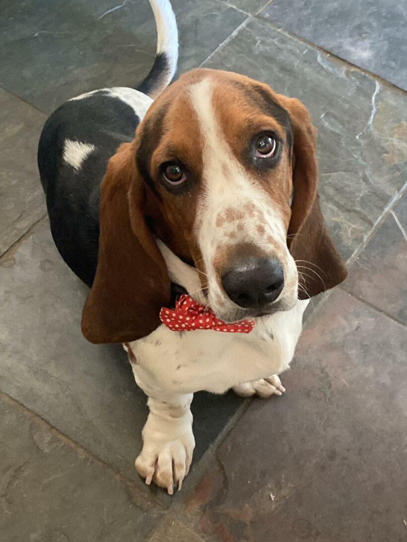 Winston