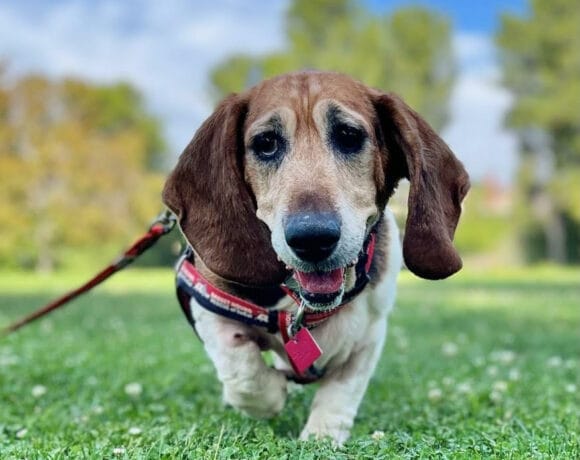 Maggie