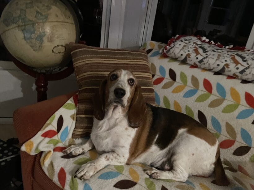Keisha