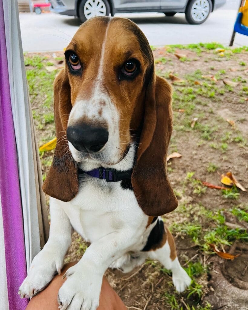 Charlie