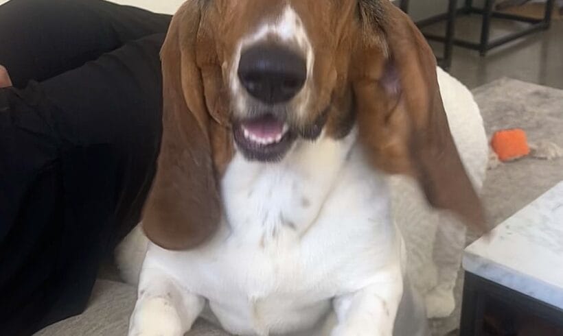 Maggie