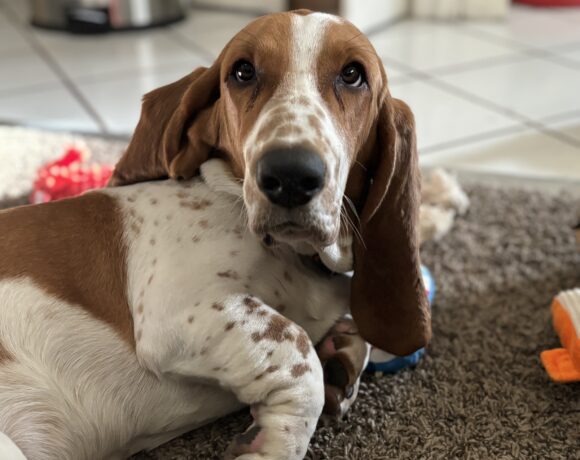 Arthur