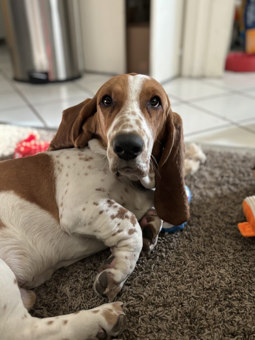 Arthur