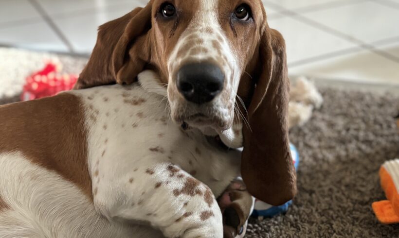 Arthur