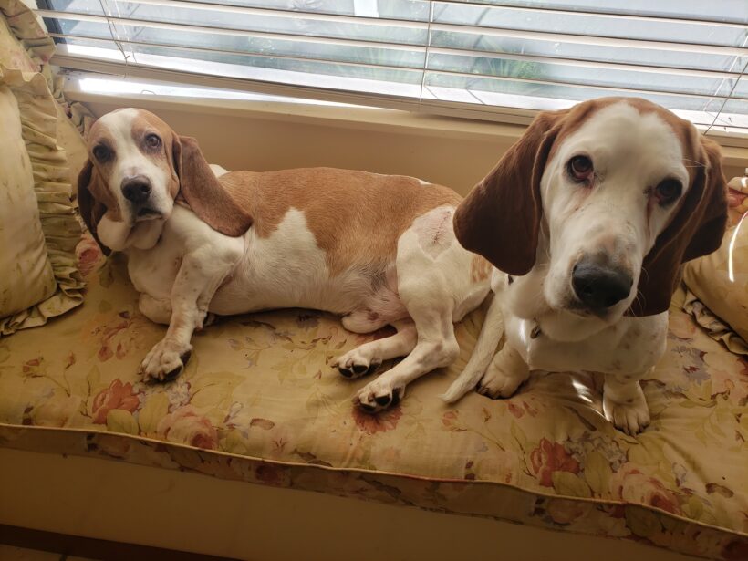 Bailey and Murphy