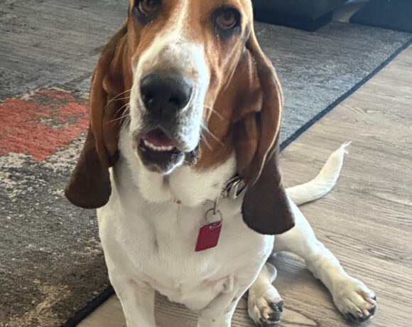 Lucy