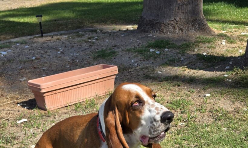 Rusty