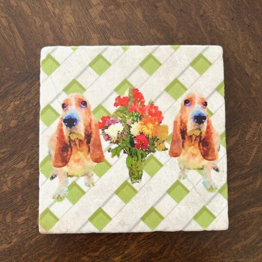 Two basset hounds with a bouquet of flowers in between