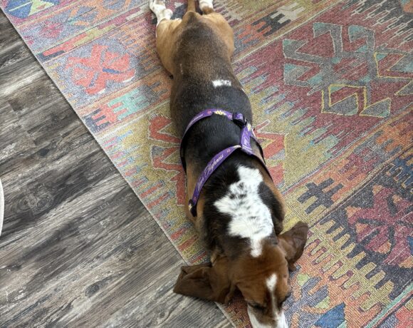 Peggy Sue