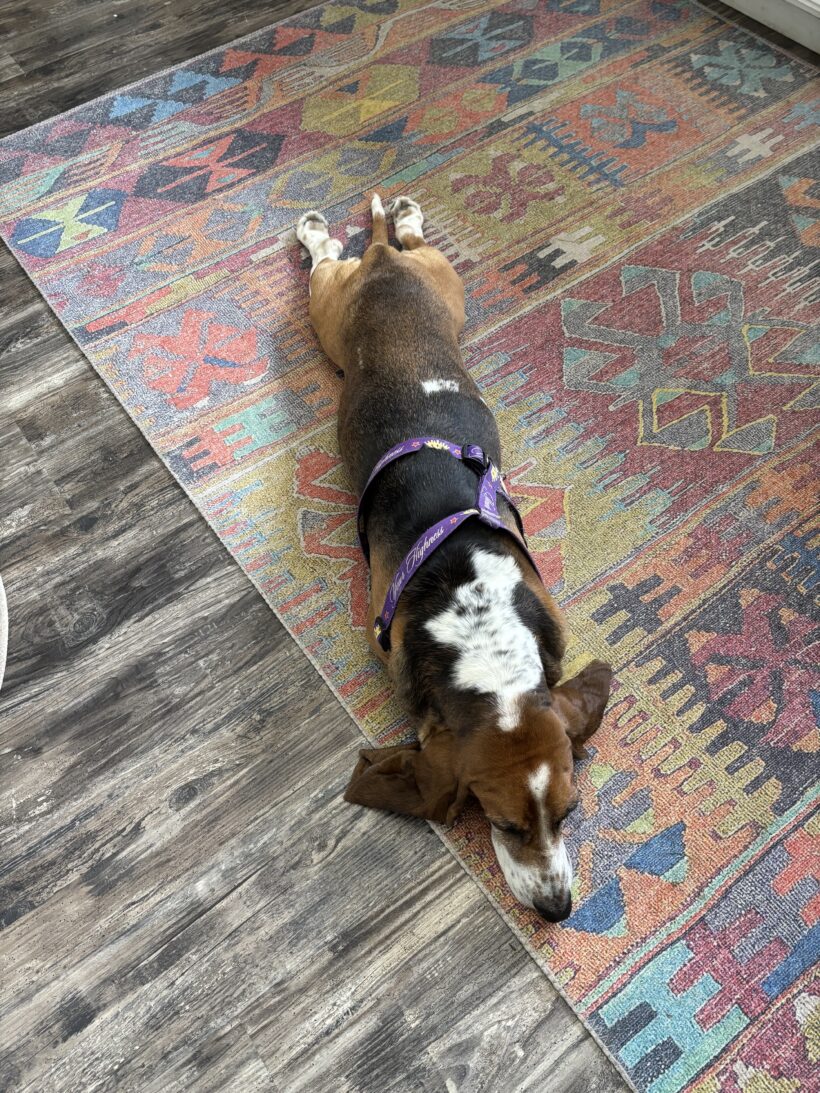 Peggy Sue