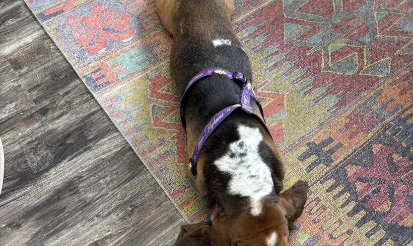 Peggy Sue