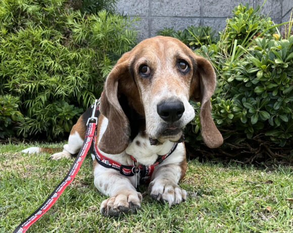 Charlie